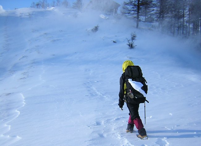 SCN0272.jpg