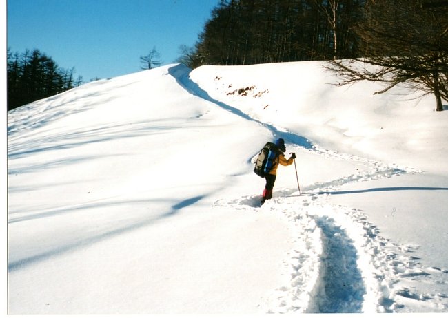 img020.jpg