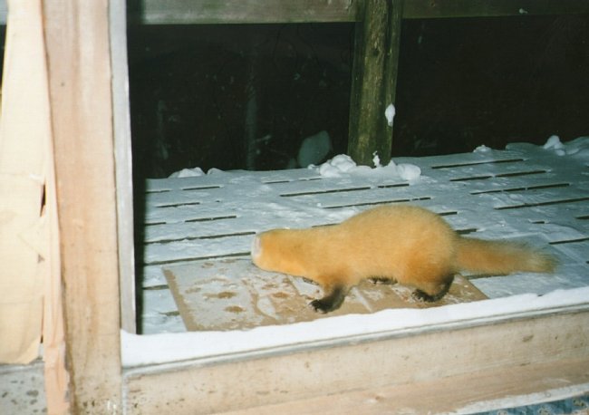 img021.jpg
