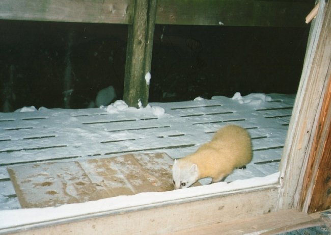 img022.jpg