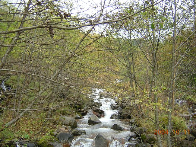 DSCN1168.JPG