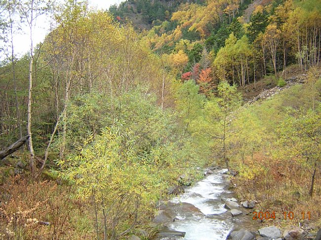 DSCN1169.JPG