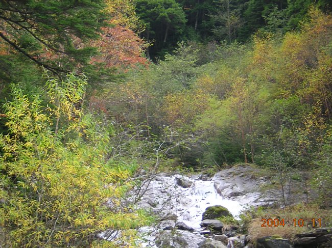 DSCN1172.JPG