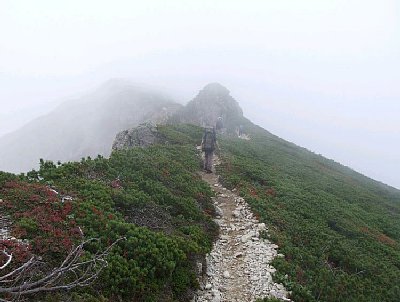 04.jpg