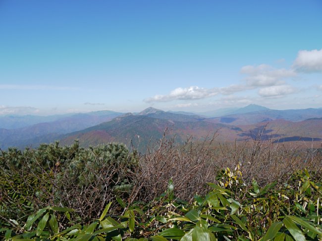 P1030566.JPG