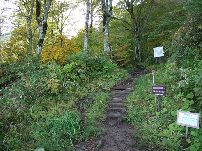 P1030464.JPG