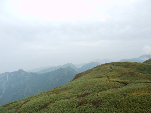 P1030381.JPG