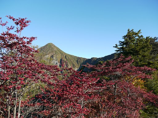 P1030434.JPG