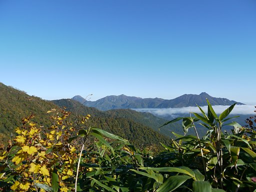 P1030441.JPG