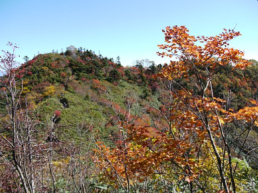 P1030461.JPG