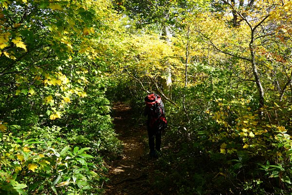 DSC02468.JPG