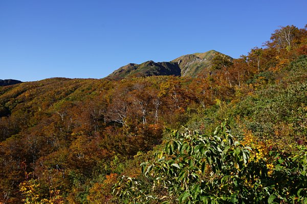 DSC04292.JPG