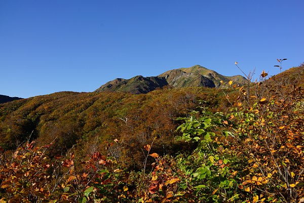 DSC04294.JPG