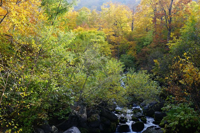 DSC05937.JPG