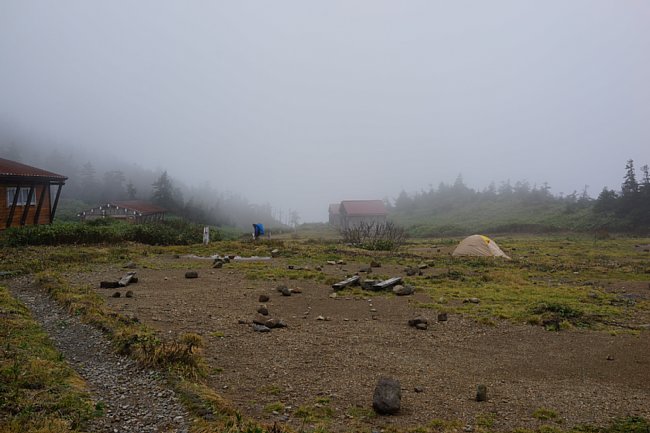 DSC07537.JPG