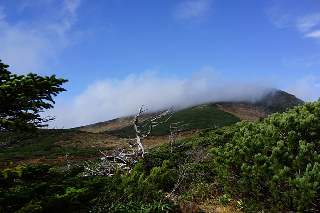 DSC07542.JPG