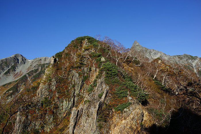 DSC08811.JPG