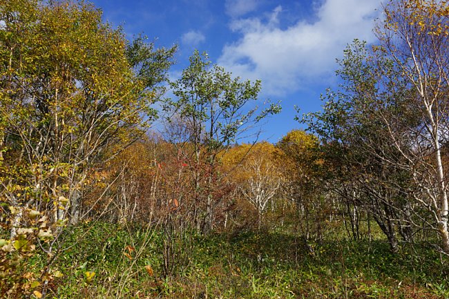 DSC00429.JPG