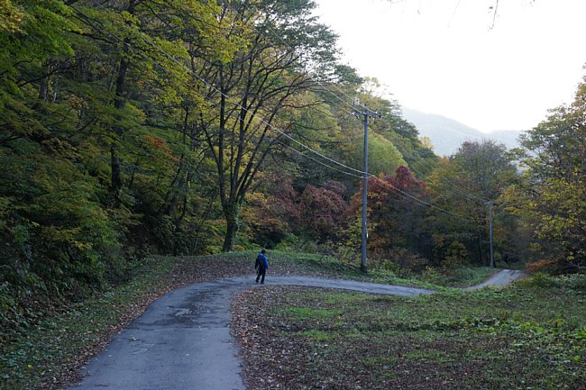 DSC00483.JPG