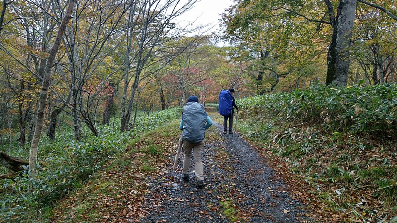DSC_0923.JPG