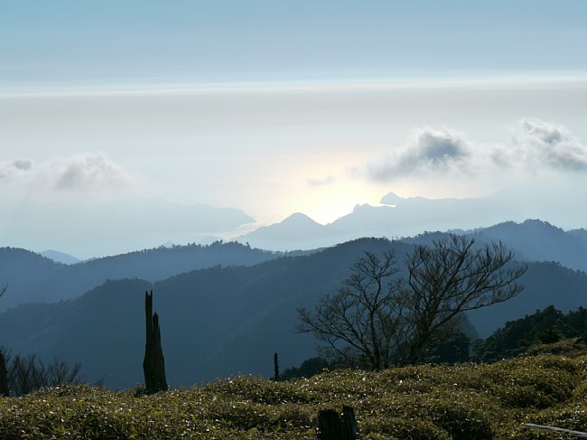 P1020174.JPG