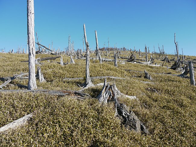 P1020186.JPG