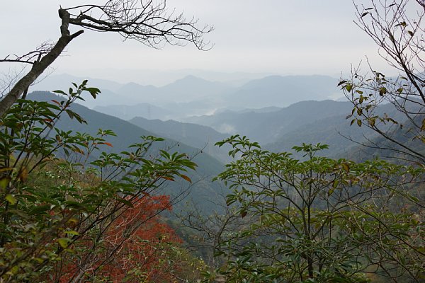 DSC02613.JPG