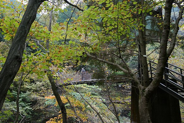 DSC02704.JPG