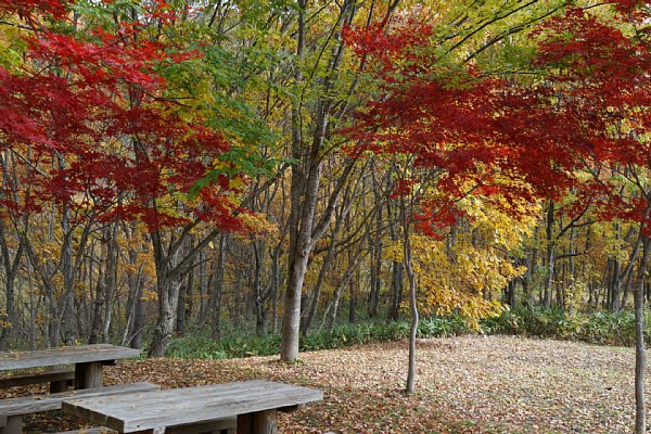 DSC02722.JPG