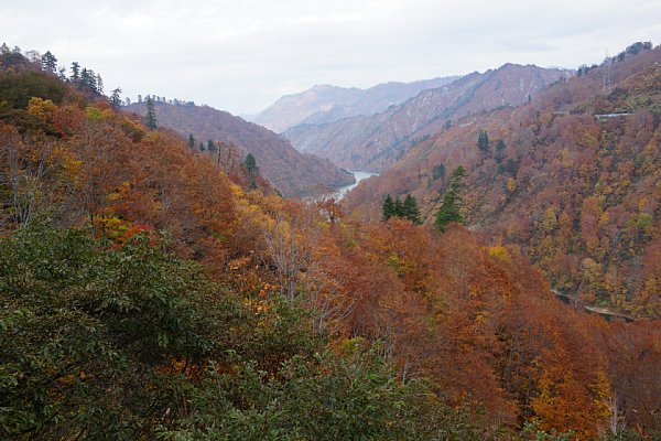 DSC02756.JPG