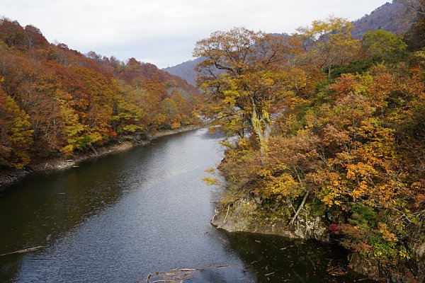 DSC02767.JPG