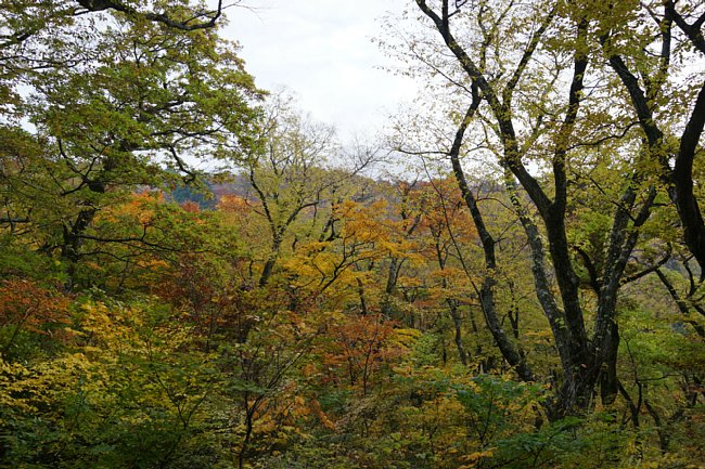 DSC08893.JPG