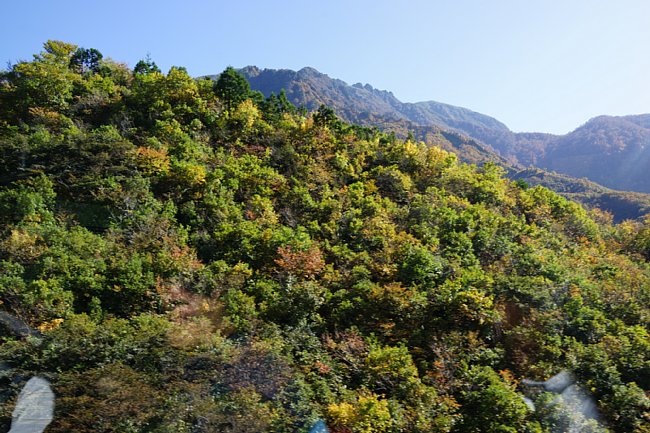 DSC01862.JPG