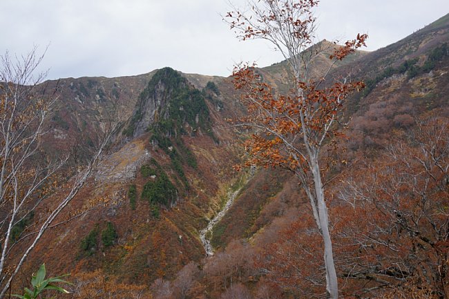 DSC01899.JPG