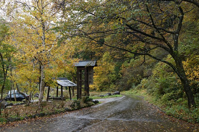 DSC01906.JPG