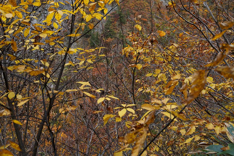 DSC09174.JPG
