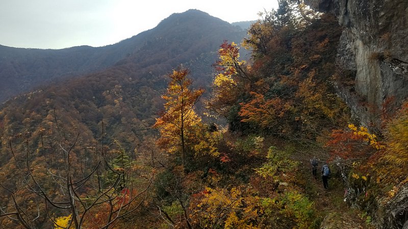 DSC_2918.JPG