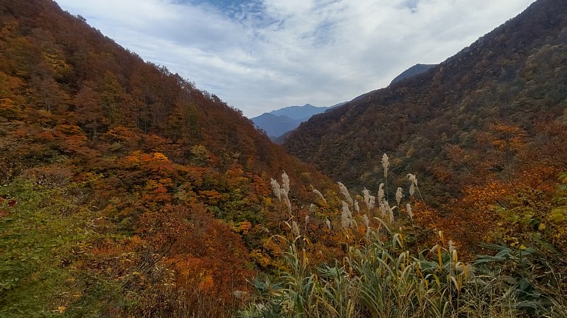 DSC_2932.JPG