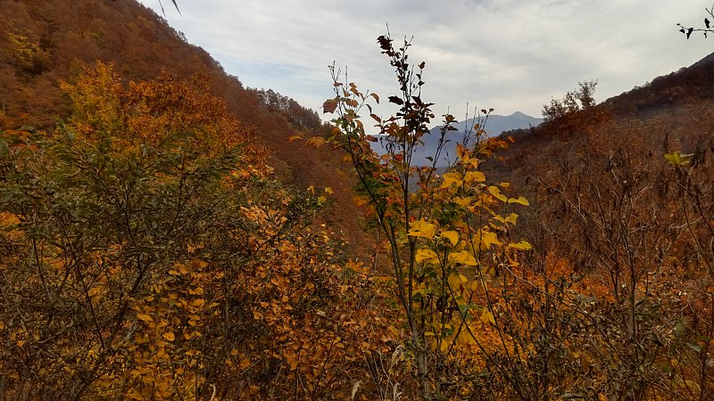 DSC_2933.JPG