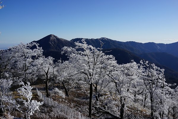 DSC04588.JPG