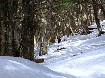 DSCF2075.jpg