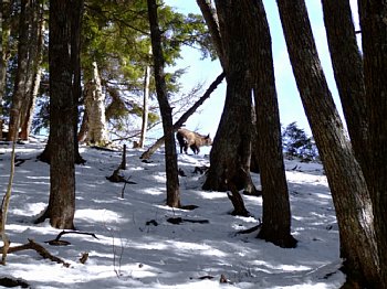 DSCF2084.jpg