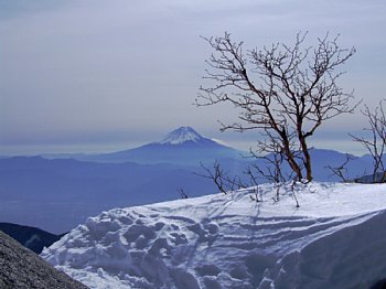 DSCF2215.jpg