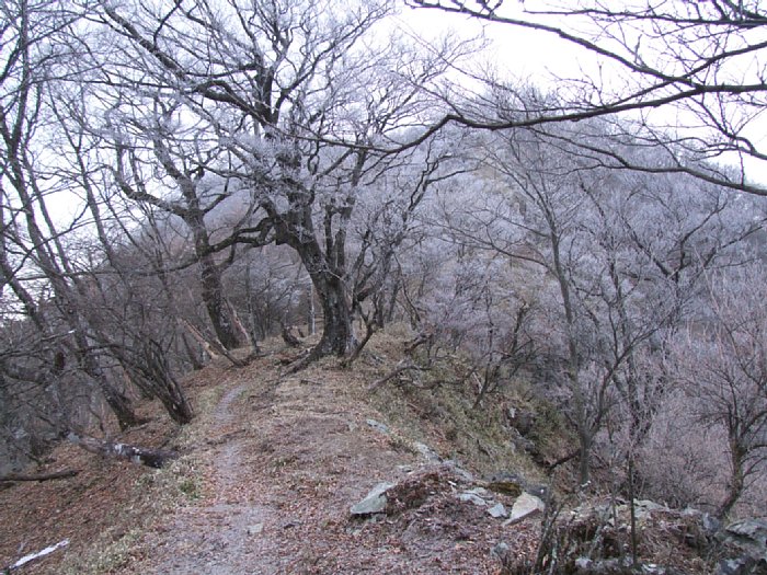 DSCF7597.JPG