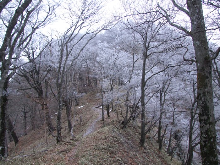DSCF7604.JPG