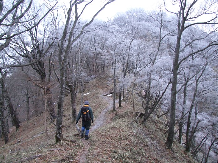 DSCF7605.JPG