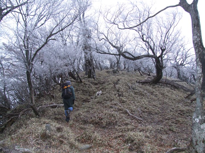 DSCF7615.JPG
