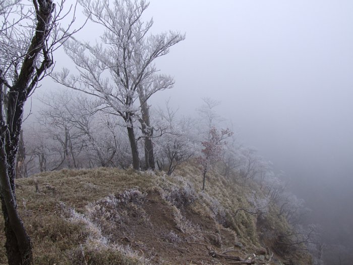 DSCF7623.JPG