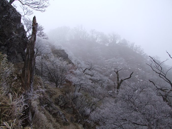 DSCF7629.JPG
