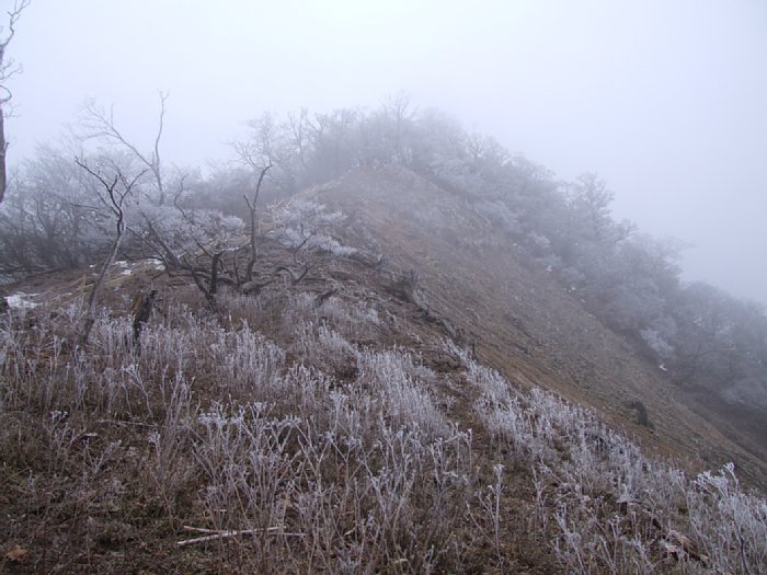 DSCF7636.JPG